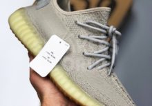 Adidas-Yeezy-Boost-350-V2-Sesame-color