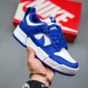 Nike Dunk Low Disrupt Blue