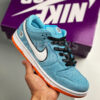 Nike SB Dunk Low Pro Club 58 Gulf