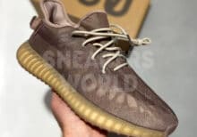 Adidas Yeezy Boost 350 V2 Mist