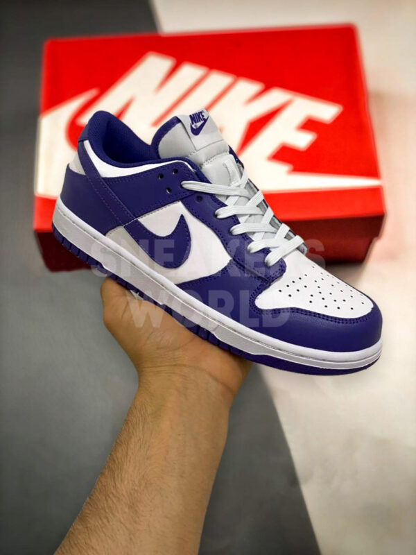 Nike Dunk Purple