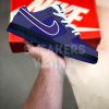 Nike Dunk Low SB Purple Lobster