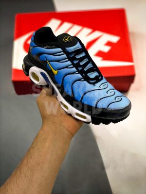 Nike Air Max TN Plus + Blue White