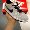 Nike SB Dank Low PRO Beige/Brown