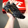 Nike Air Max TN Plus + Black/Gold