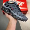 Nike Air Max TN Plus + Grey