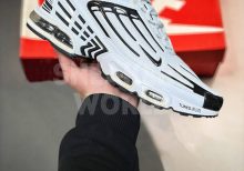 Nike Air Max TN Plus White