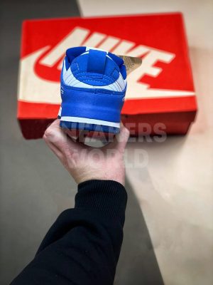 Nike Dunk Low Disrupt 2 Blue/White