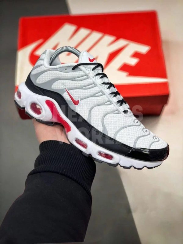 Nike Air Max Plus White Silver Black Red