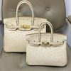 Сумка Hermes Birkin 3C Wool White Ostrich 25