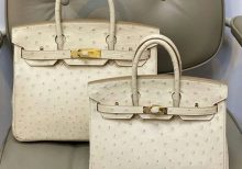 Сумка Hermes Birkin 3C Wool White Ostrich 25