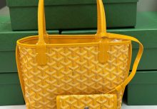 Сумка Goyard Anjou Mini Bag Yellow