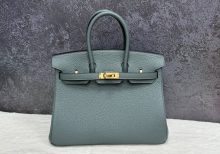 Сумка Hermès Birkin 25 Vert Amande Togo Gold Hardware