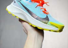 Nike Pegasus Trail 2 Trail Running Shoe